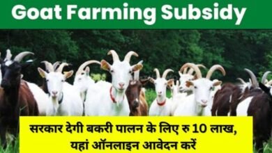 Goat Farming Subsidy 2023