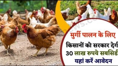 poultry farming subsidy apply