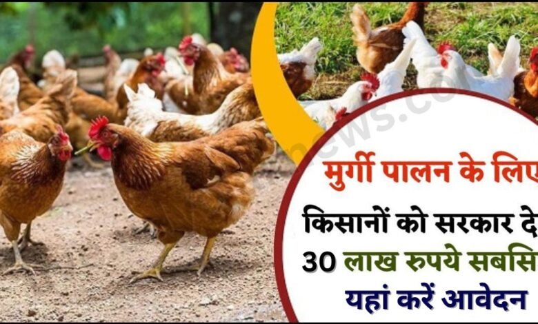 poultry farming subsidy apply