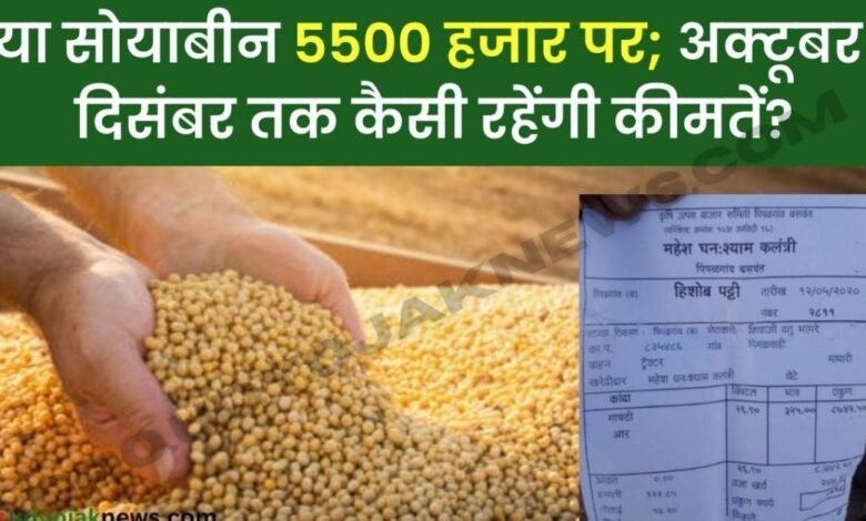soyabean rate today