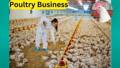 poultry business plan