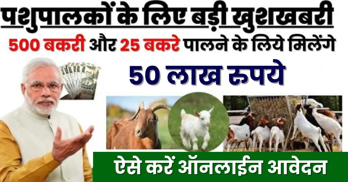 Goat Farming Loan 2024