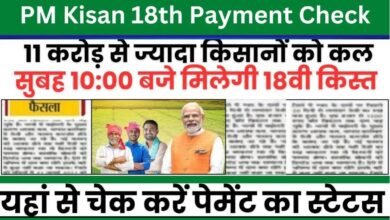 PM Kisan 18th Payment Check