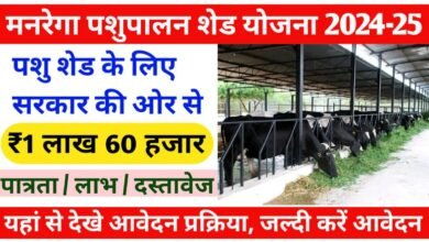 Pashu Shed Subsidy Scheme 2025