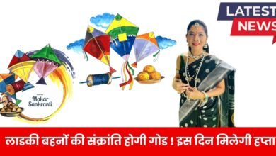 makar sankranti 2025