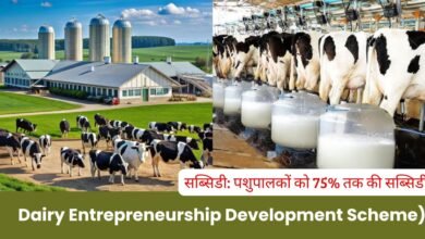 Dairy farming loan