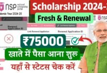 NSP Scholarship