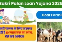 Bakri Palan Loan Yojana 2025