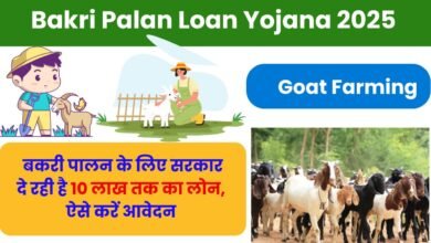 Bakri Palan Loan Yojana 2025