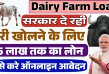 Dairy Farm Loan 2025