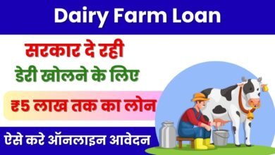 Dairy Farm Loan