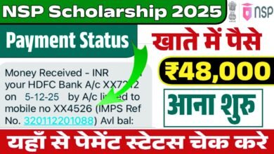 NSP Scholarship 2025