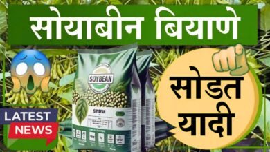 Mahadbt Seeds Subsidy 2025