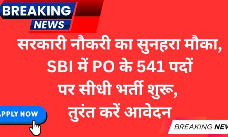 SBI PO Bharti 2025