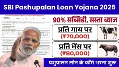 Pashupalan Loan