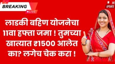 ladki bahin yojana may installment