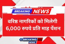 senior citizens pension scheme
