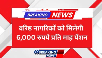 senior citizens pension scheme