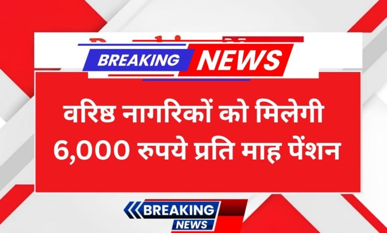 senior citizens pension scheme