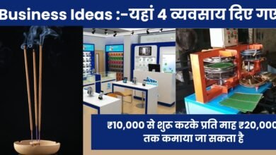 Business Ideas