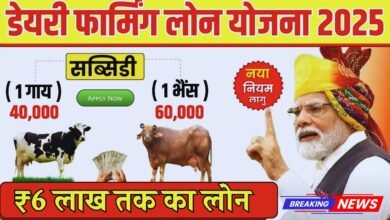 Dairy Farming Loan Scheme 2025