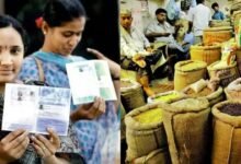 Get Free Rice 2025