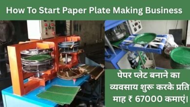 How To Start Paper Plate Making Business