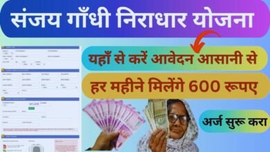 Niradhar Yojana Installment Check Online