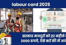 labour card 2025