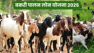Bakri Loan Yojana 2025