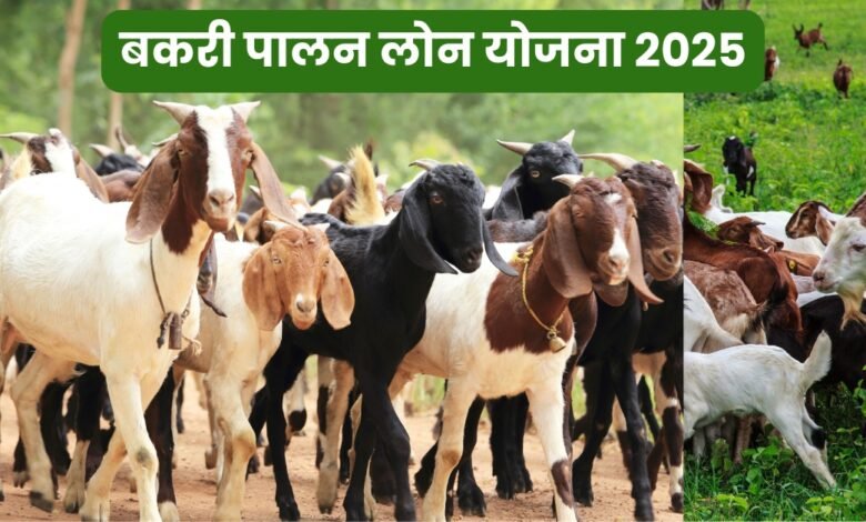 Bakri Loan Yojana 2025