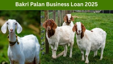 Bakri Palan Business Loan 2025