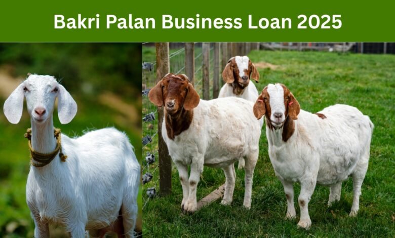 Bakri Palan Business Loan 2025