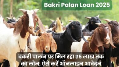 Bakri Palan Loan 2025