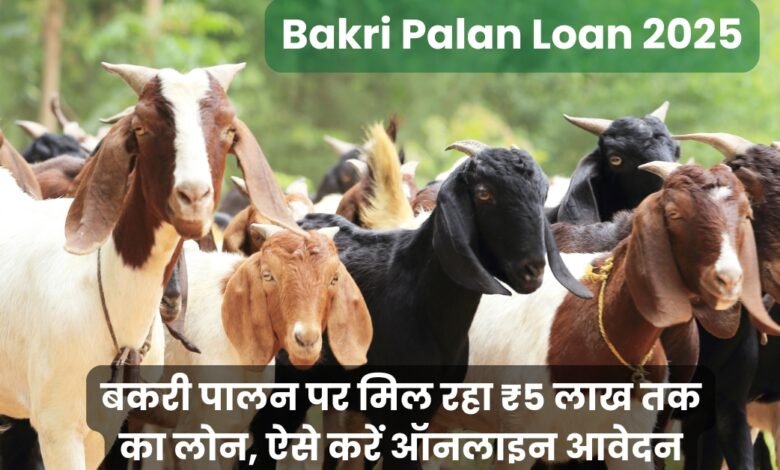 Bakri Palan Loan 2025