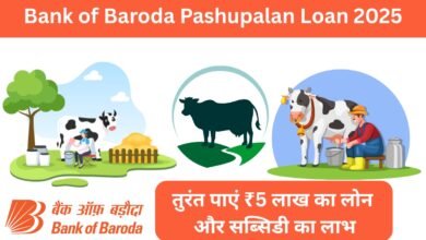 Bank of Baroda Pashupalan Loan 2025