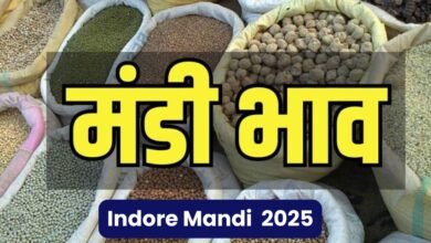 Indore Mandi 2025
