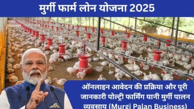 मुर्गी फार्म लोन योजना 2025 – किसानों और युवाओं के लिए पोल्ट्री फार्म लोन व सब्सिडी
