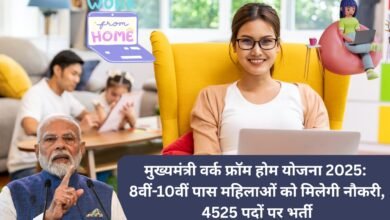 वर्क फ्रॉम होम करती महिला – मुख्यमंत्री वर्क फ्रॉम होम योजना 2025