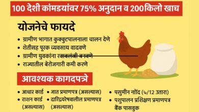 poultry farm