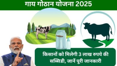 गाय गोठान योजना 2025