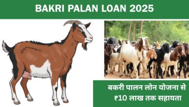 Bakri Palan Loan 2025