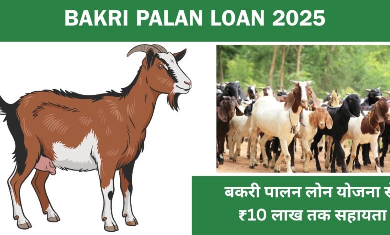 Bakri Palan Loan 2025