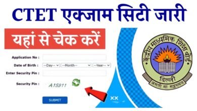 CTET Exam City 2025