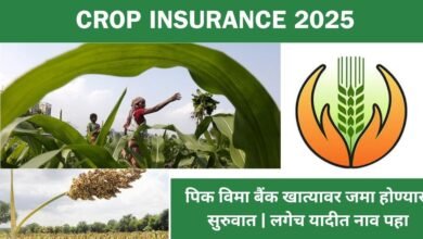 Crop Insurance 2025