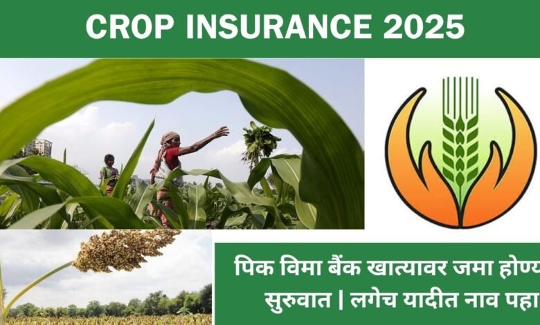 Crop Insurance 2025