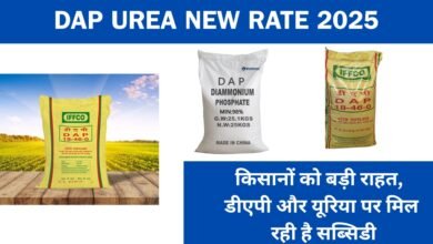 DAP Urea New Rate 2025