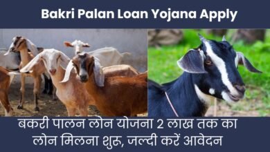 Bakri Palan Loan Yojana Apply