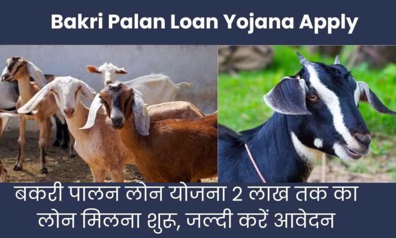Bakri Palan Loan Yojana Apply