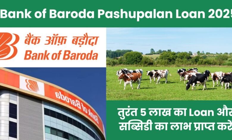 Bank of Baroda Pashupalan Loan 2025